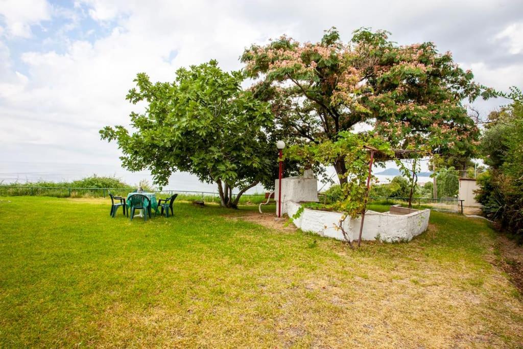Mola Kaliva Sea View, 100M From The Beach! Exterior photo