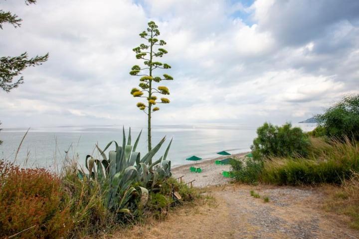 Mola Kaliva Sea View, 100M From The Beach! Exterior photo